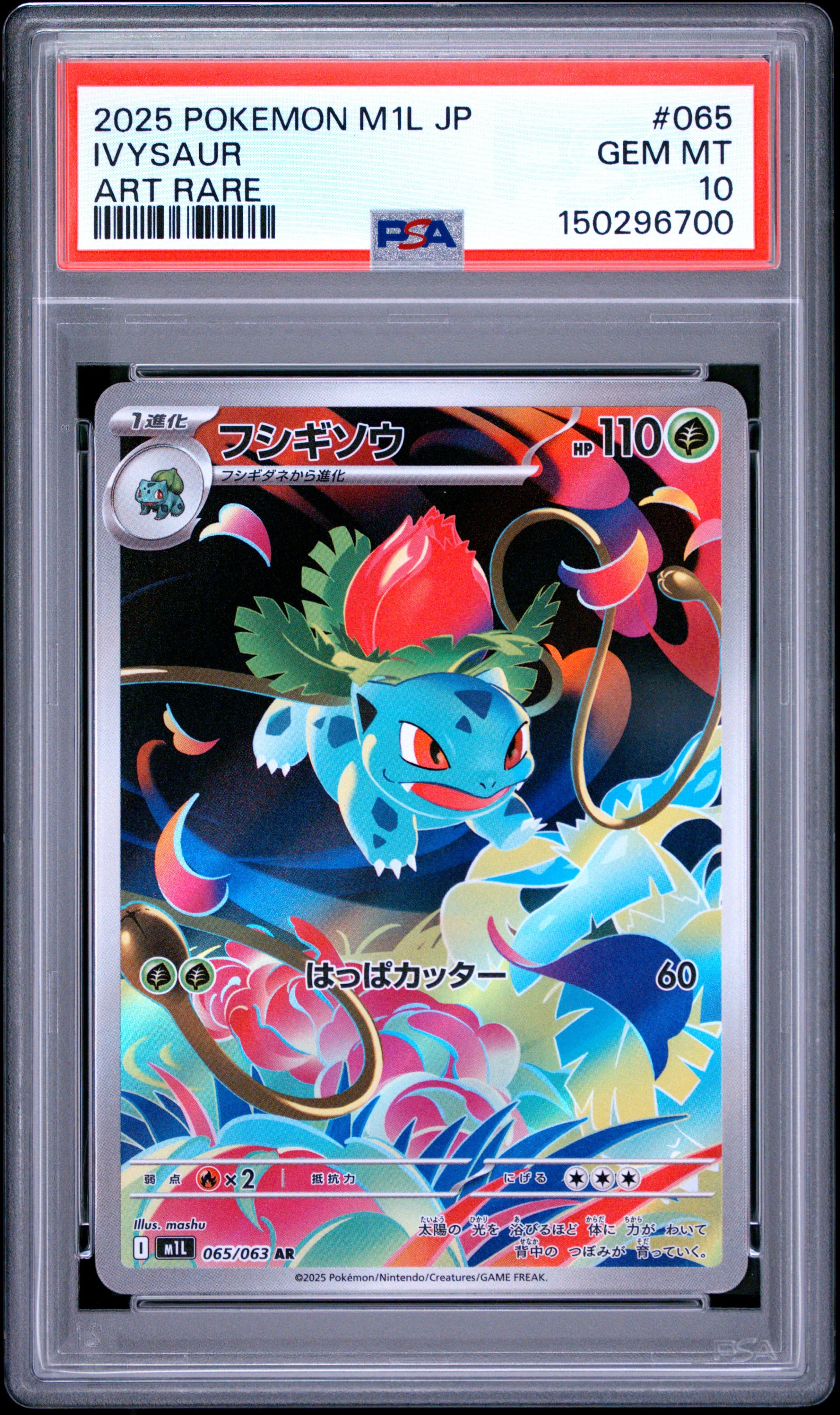 Ivysaur