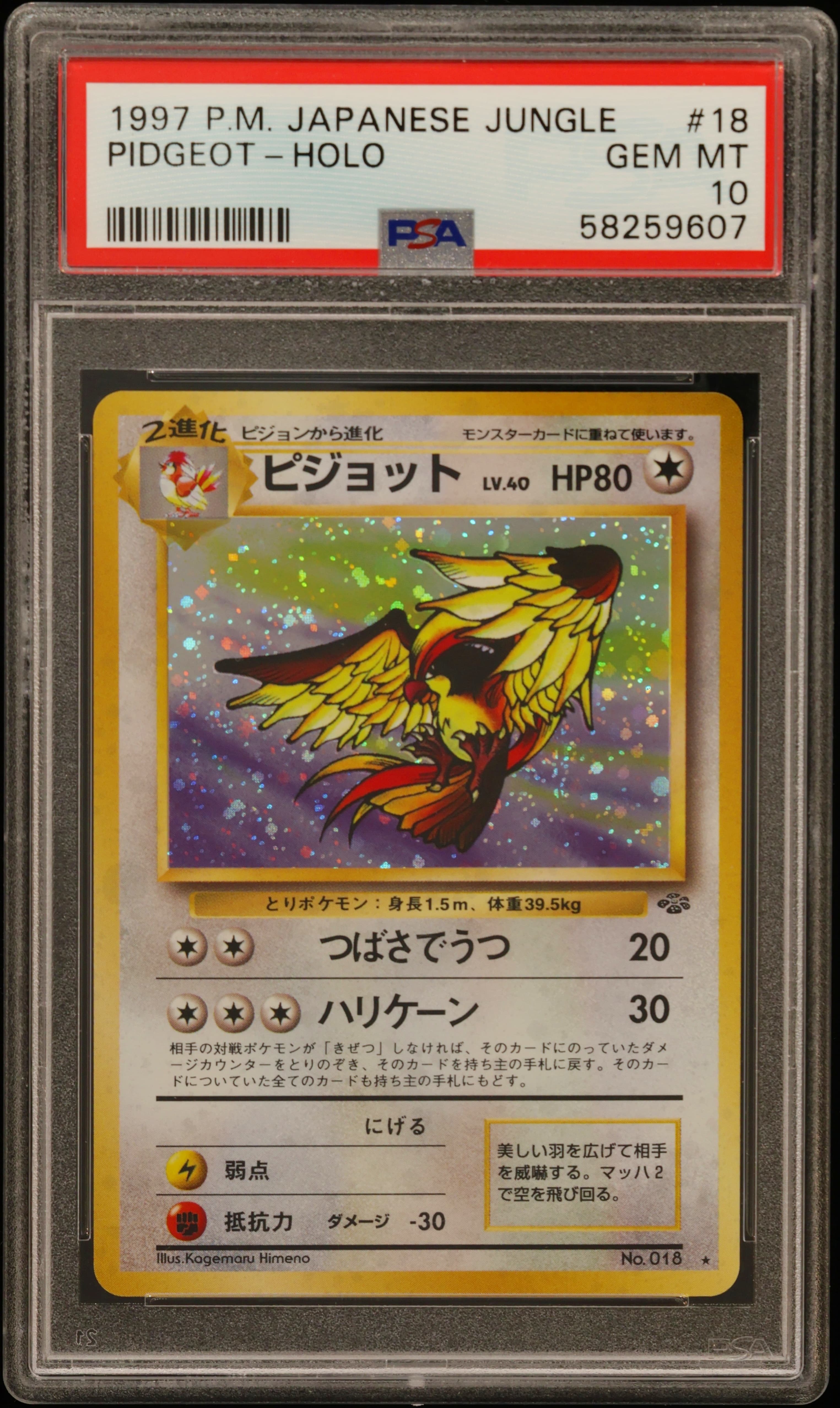 Pidgeot-Holo