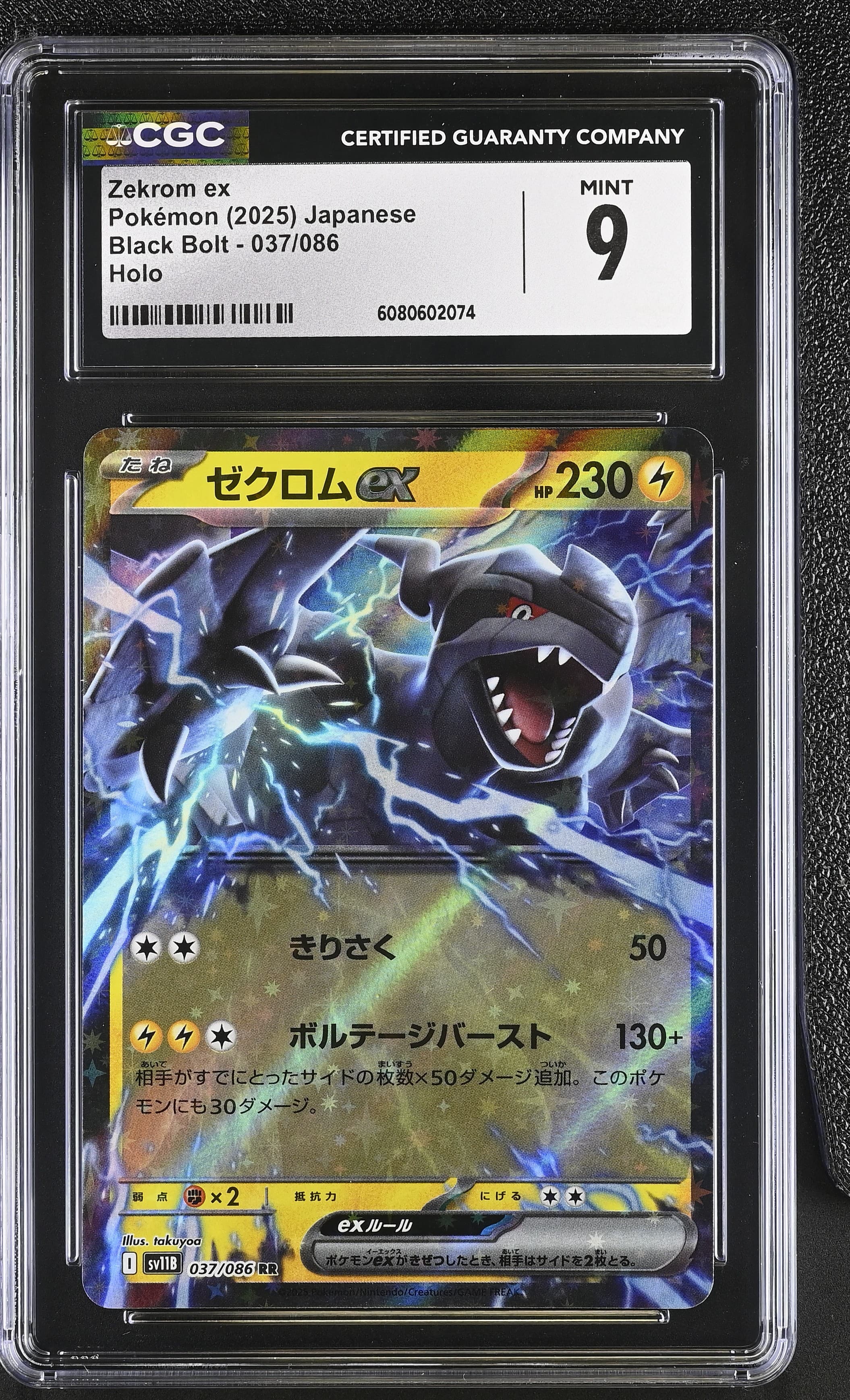 Zekrom ex