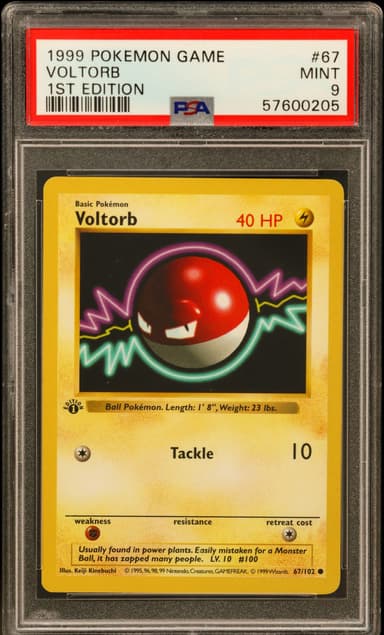 Voltorb 1st Edition