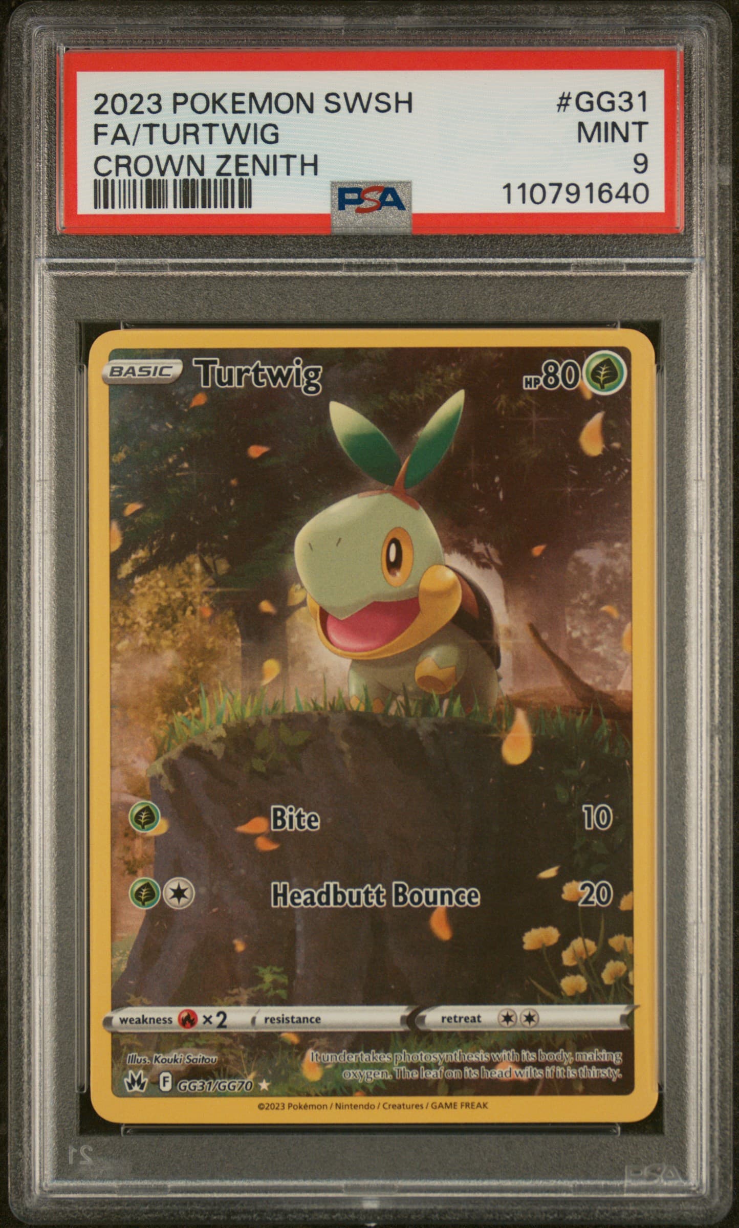 FA/TURTWIG