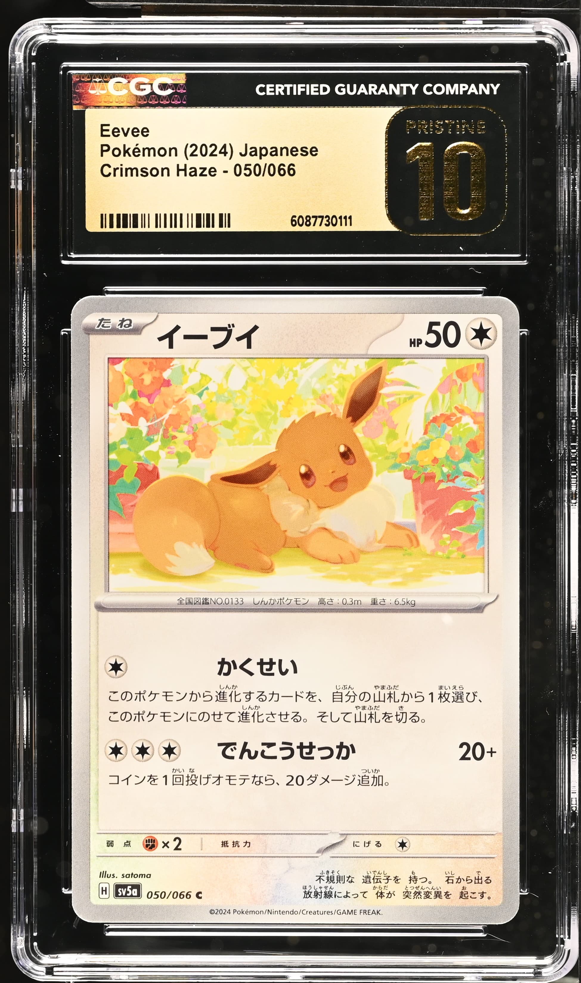 Eevee