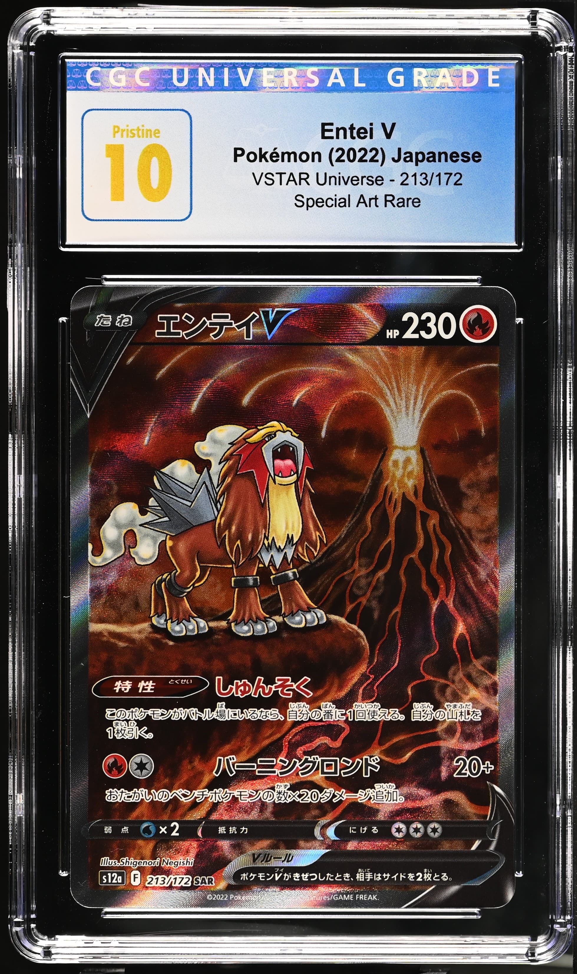 Entei V