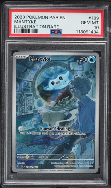Mantyke