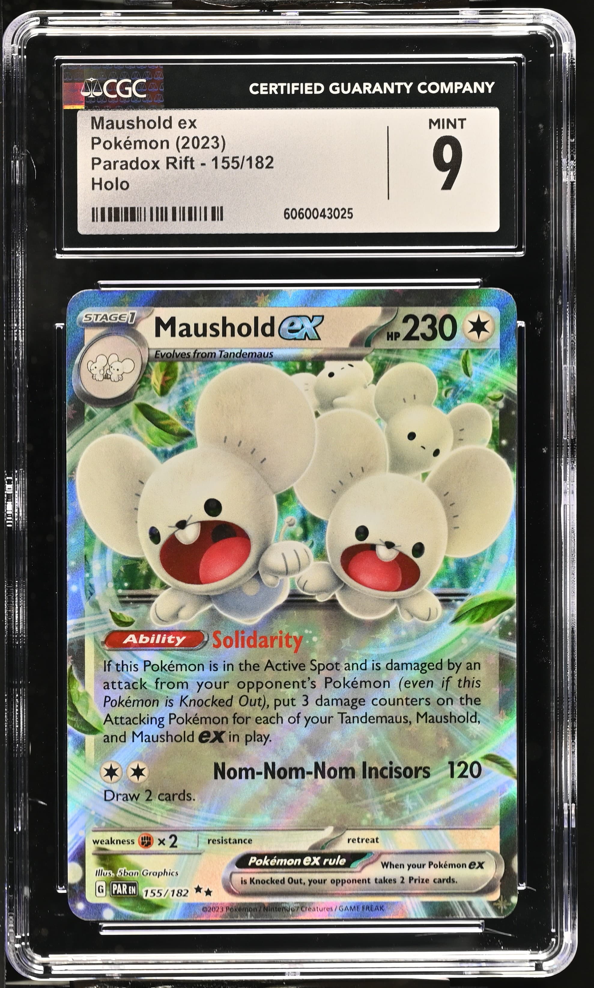 Maushold ex