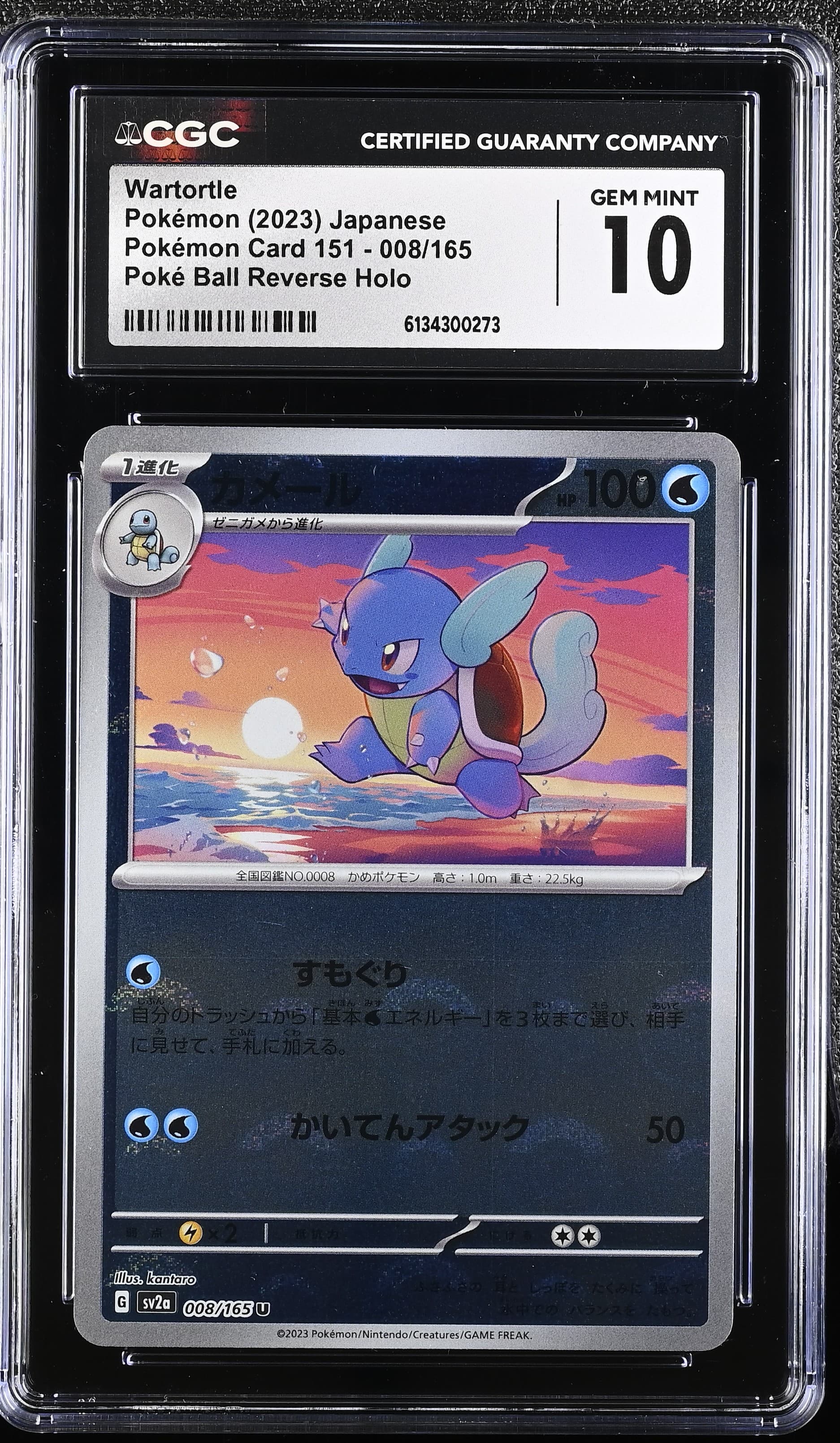 Wartortle
