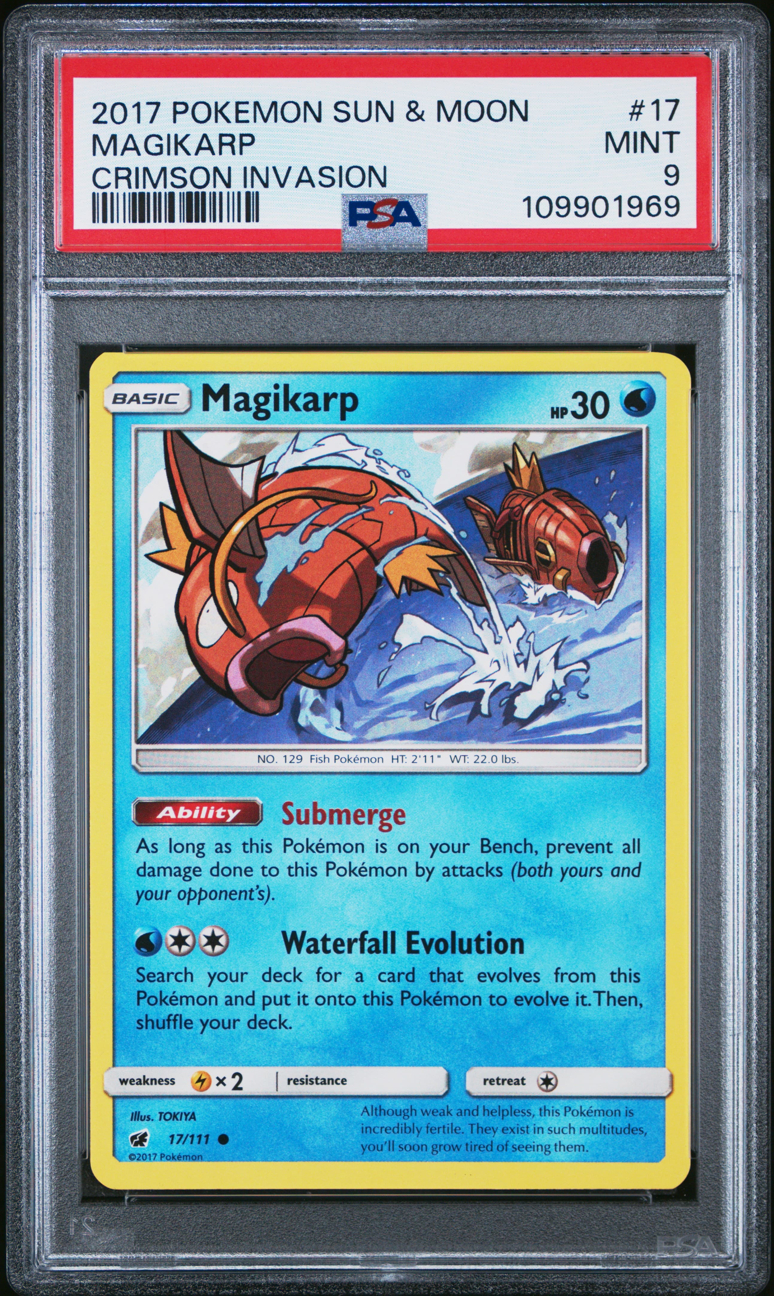 Magikarp