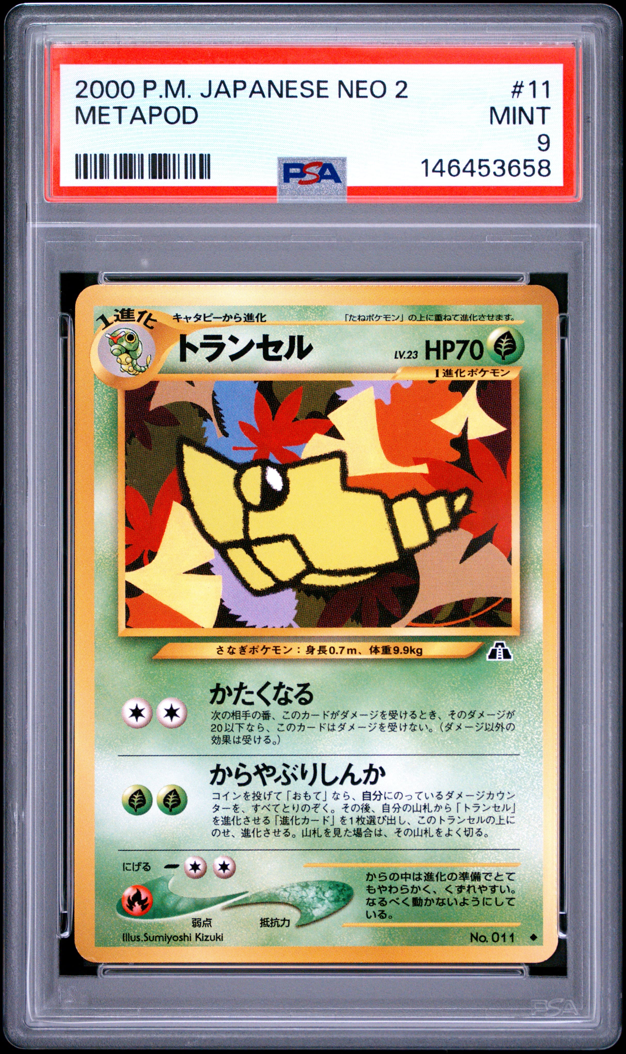 Metapod