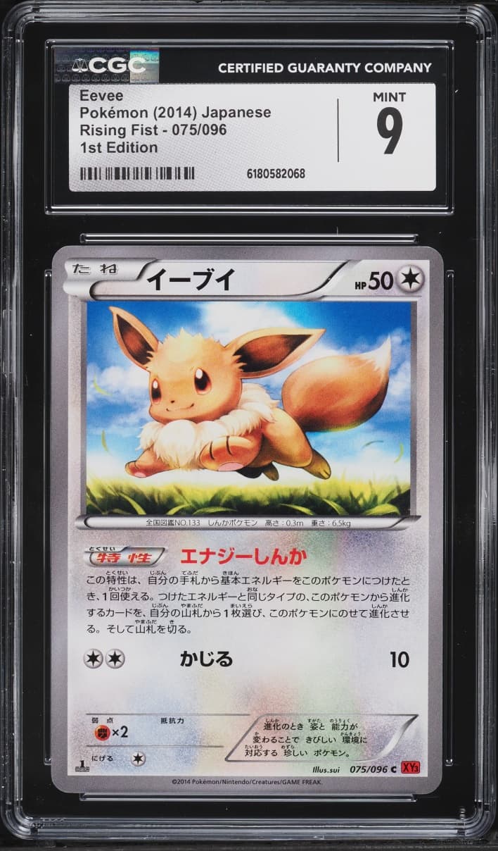 Pokemon Japanese XY Rising Fist 1st Edition Eevee #75