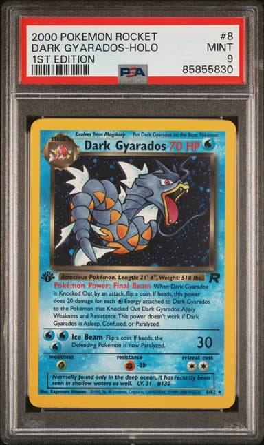 Dark Gyarados-Holo 1st Edition