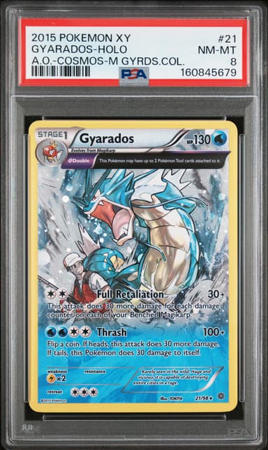 Gyarados-Holo