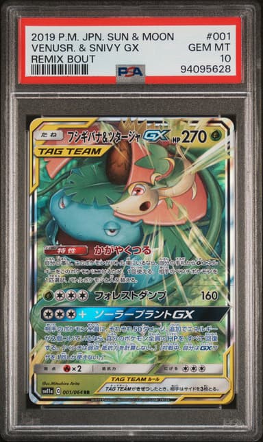 Venusaur & Snivy GX