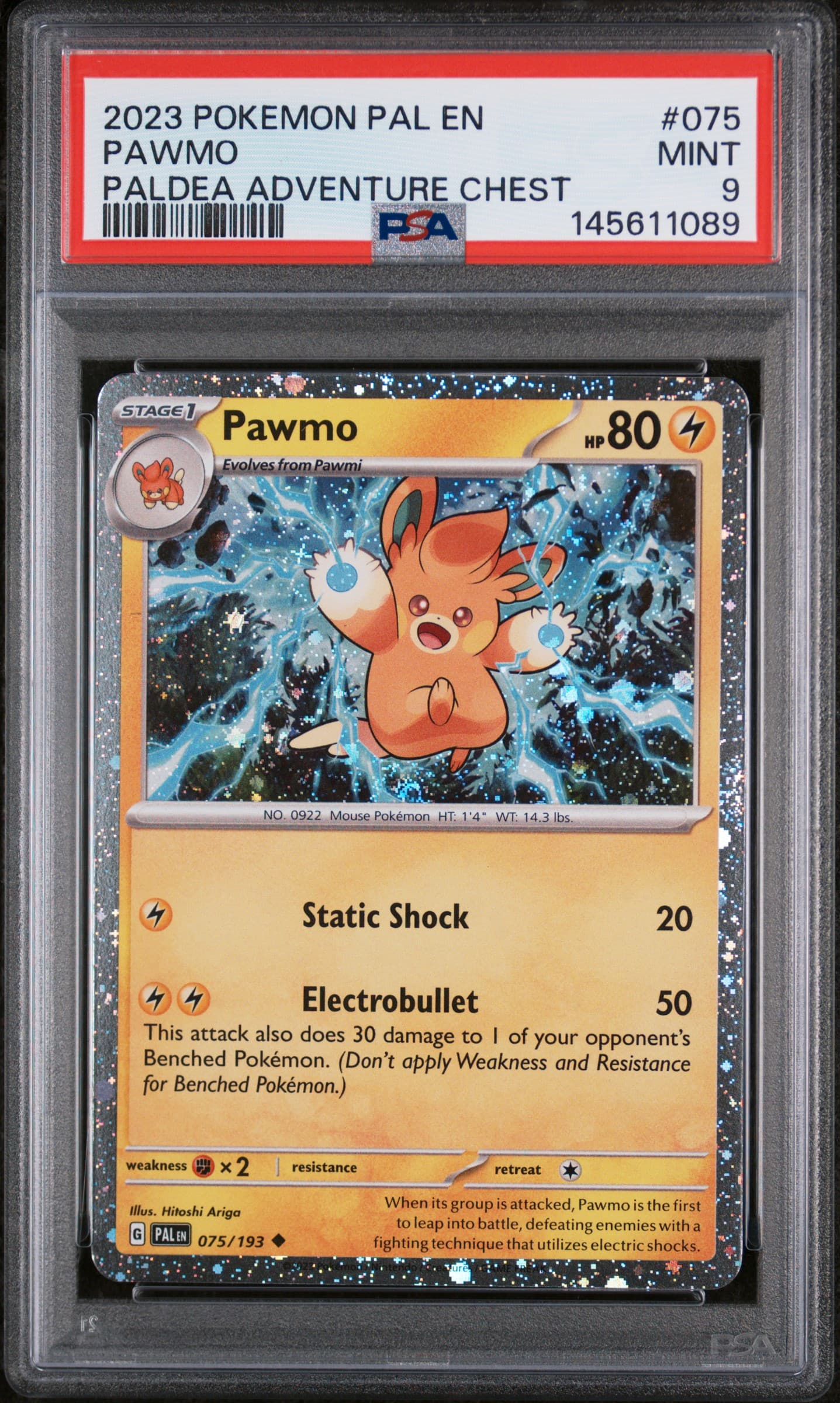 Pawmo