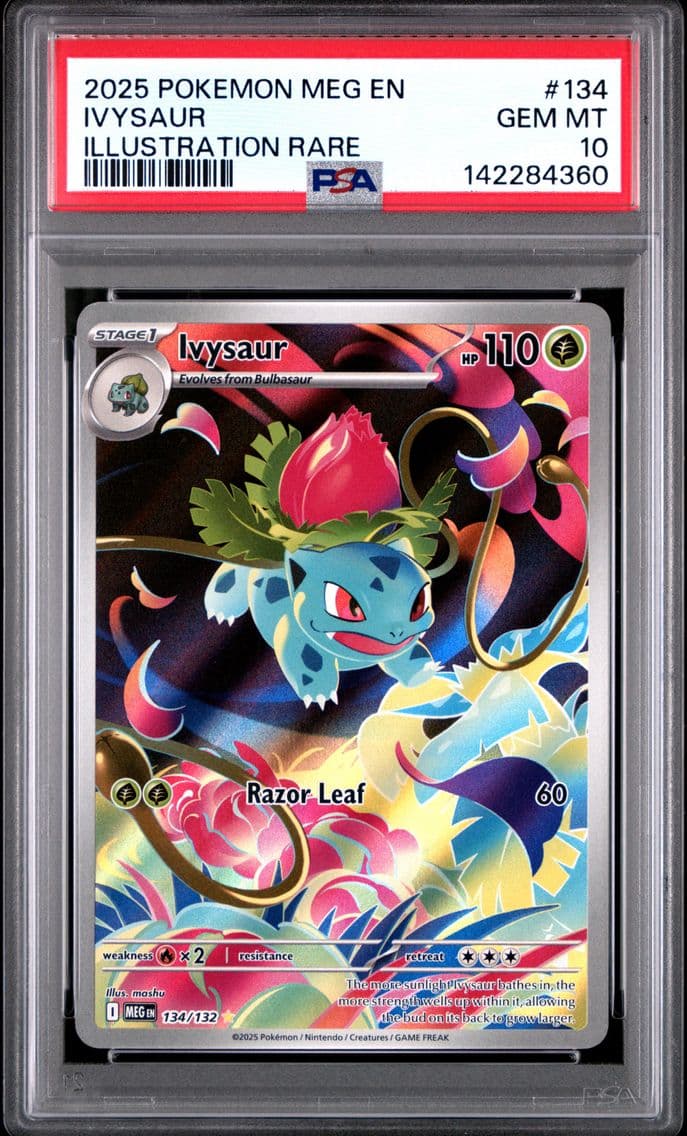 2025 #134 Ivysaur PSA 10 Meg EN-