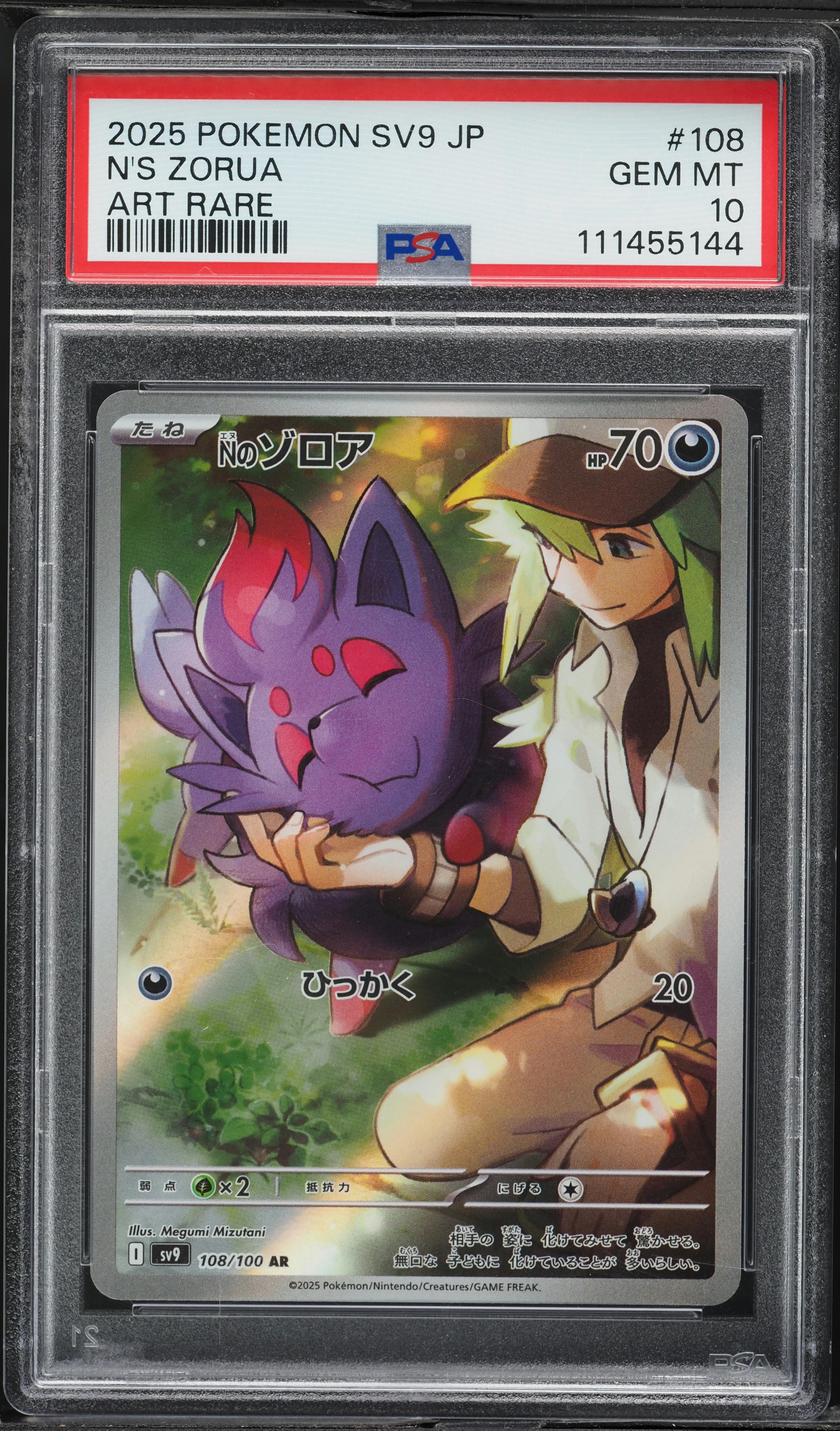 N's Zorua