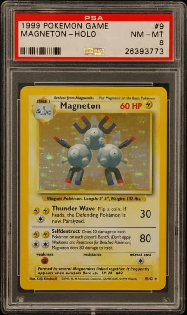 Magneton-Holo