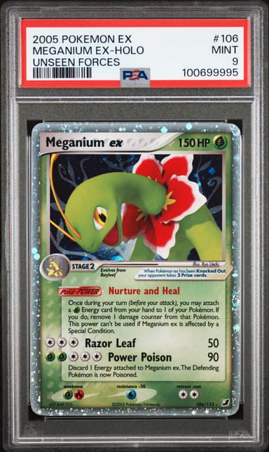 Meganium EX-Holo