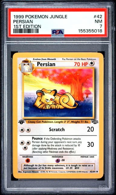 Persian 1st Edition