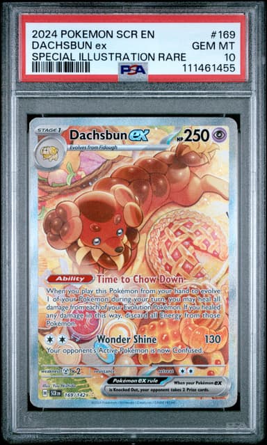 Dachsbun EX