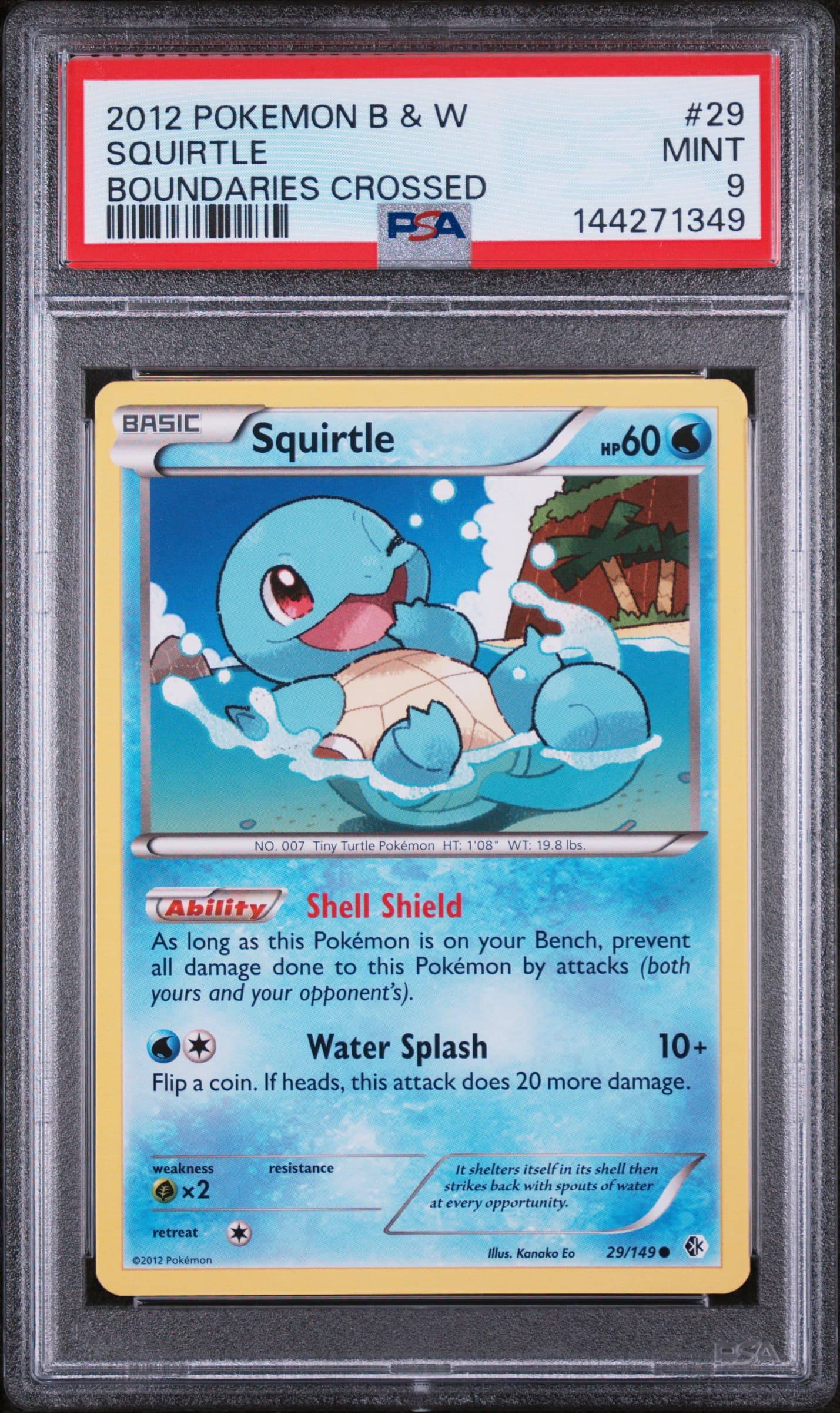 Squirtle