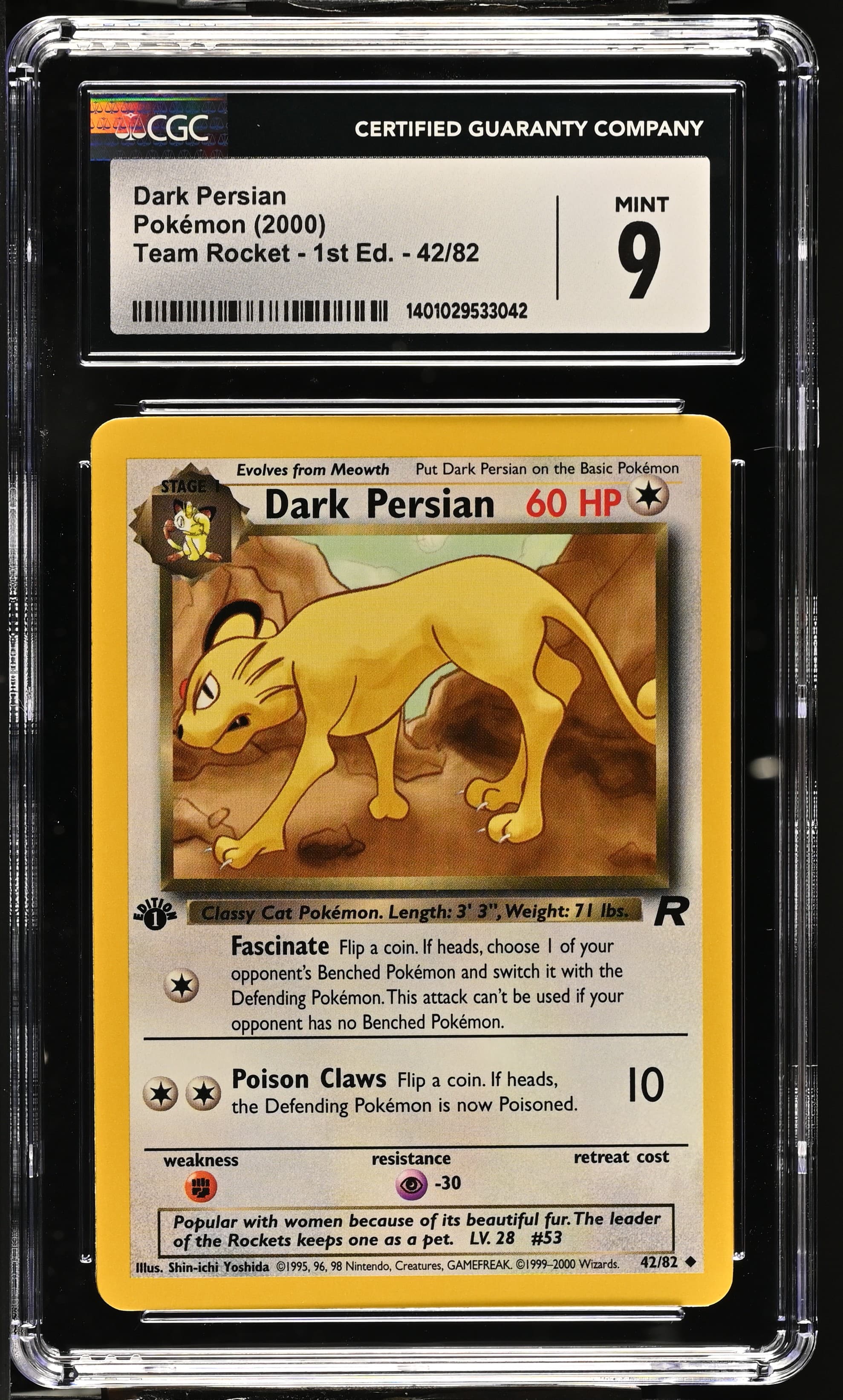 Dark Persian