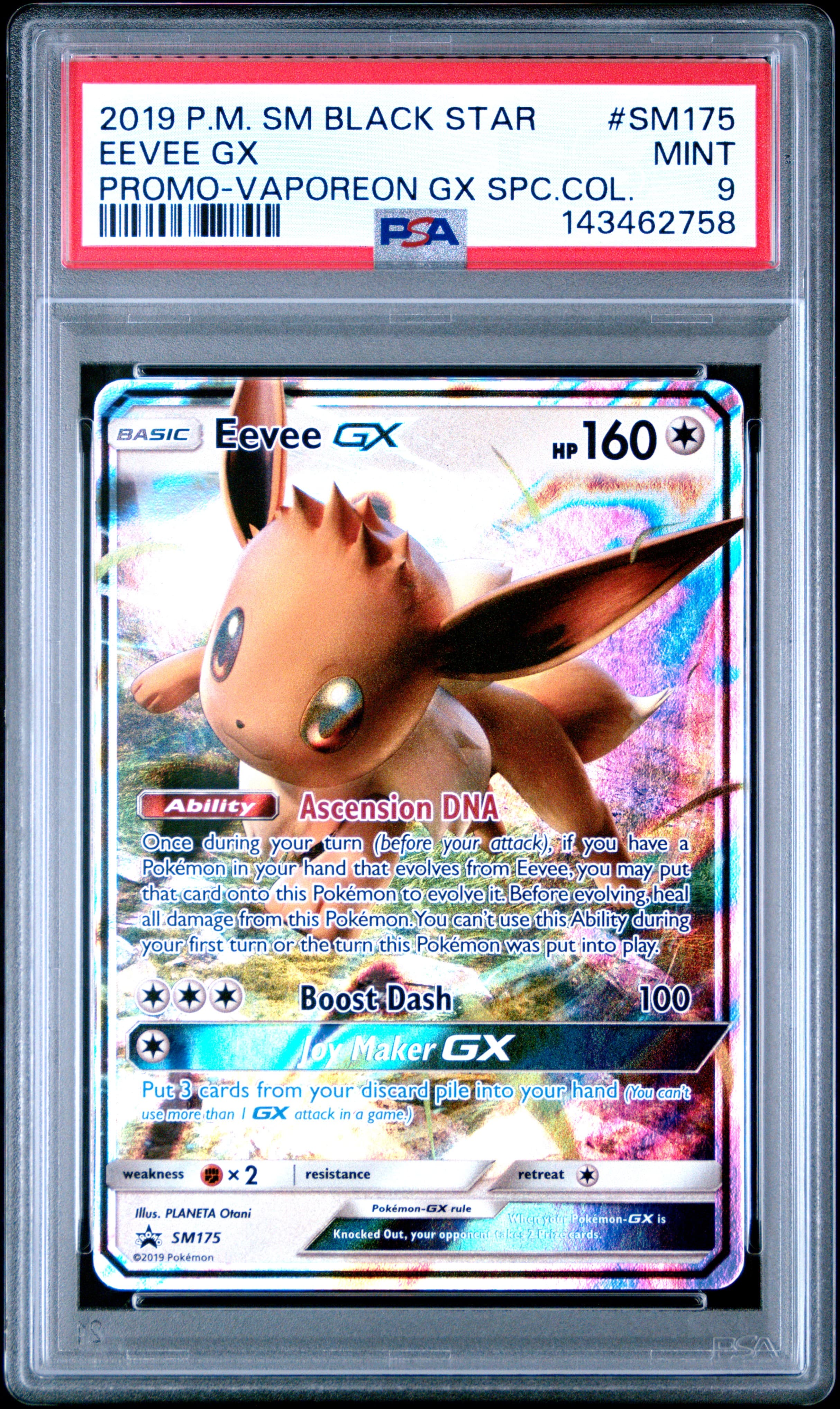 Eevee GX