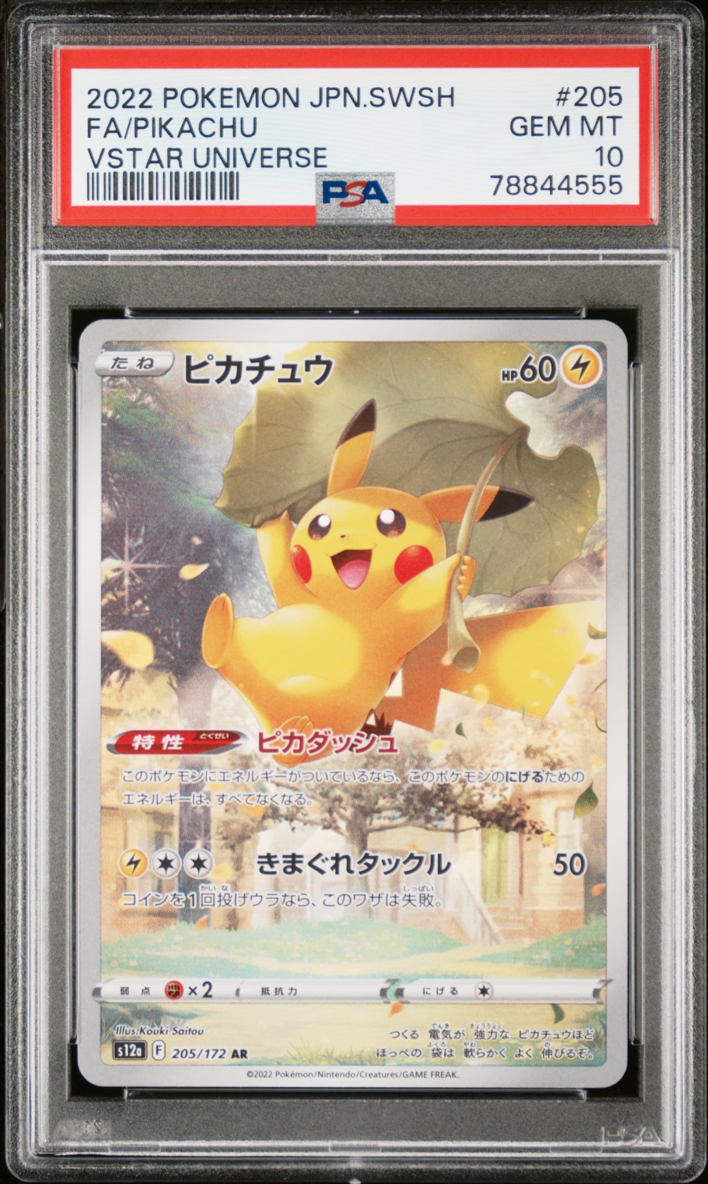 Full Art/Pikachu