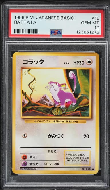 Rattata