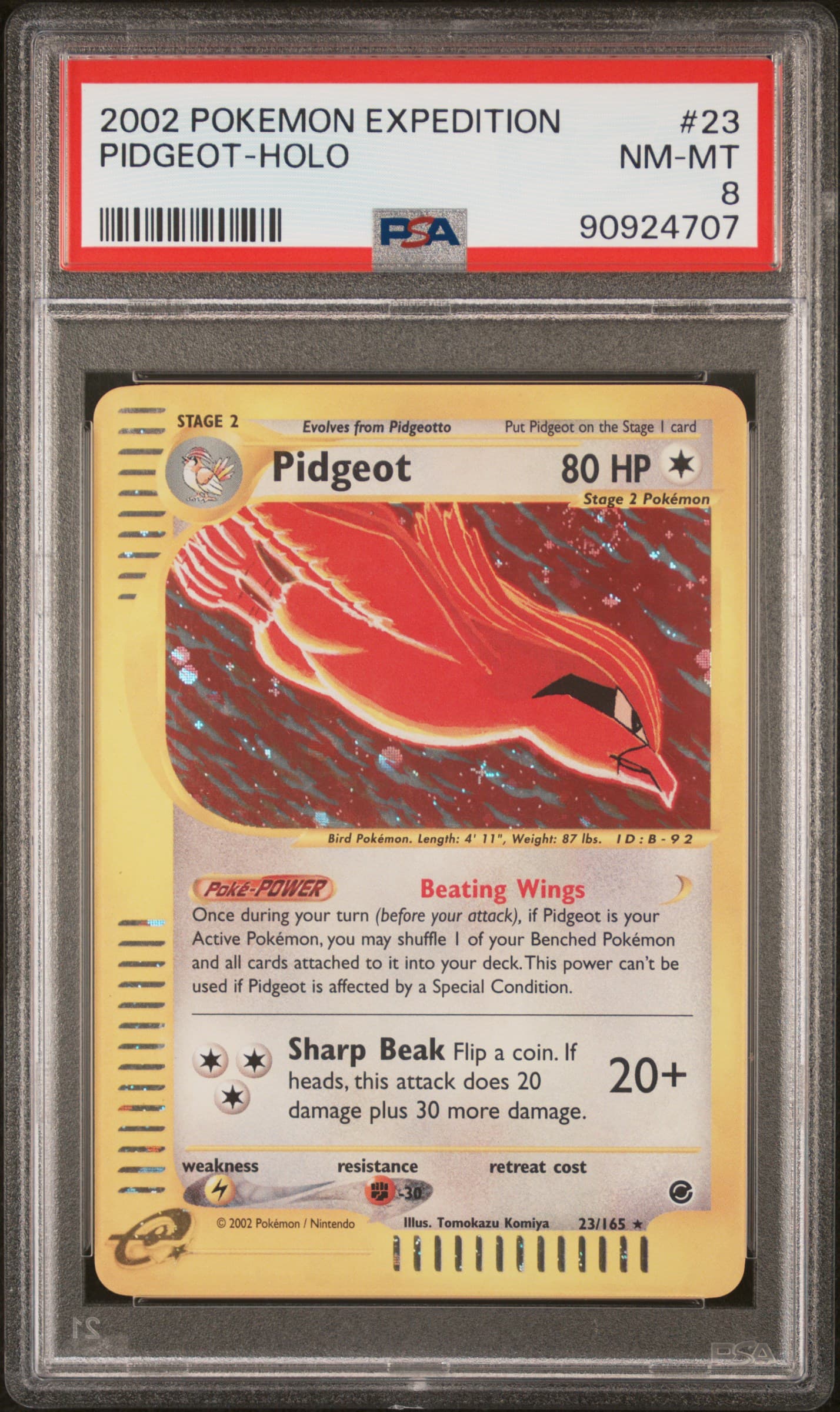 Pidgeot-Holo