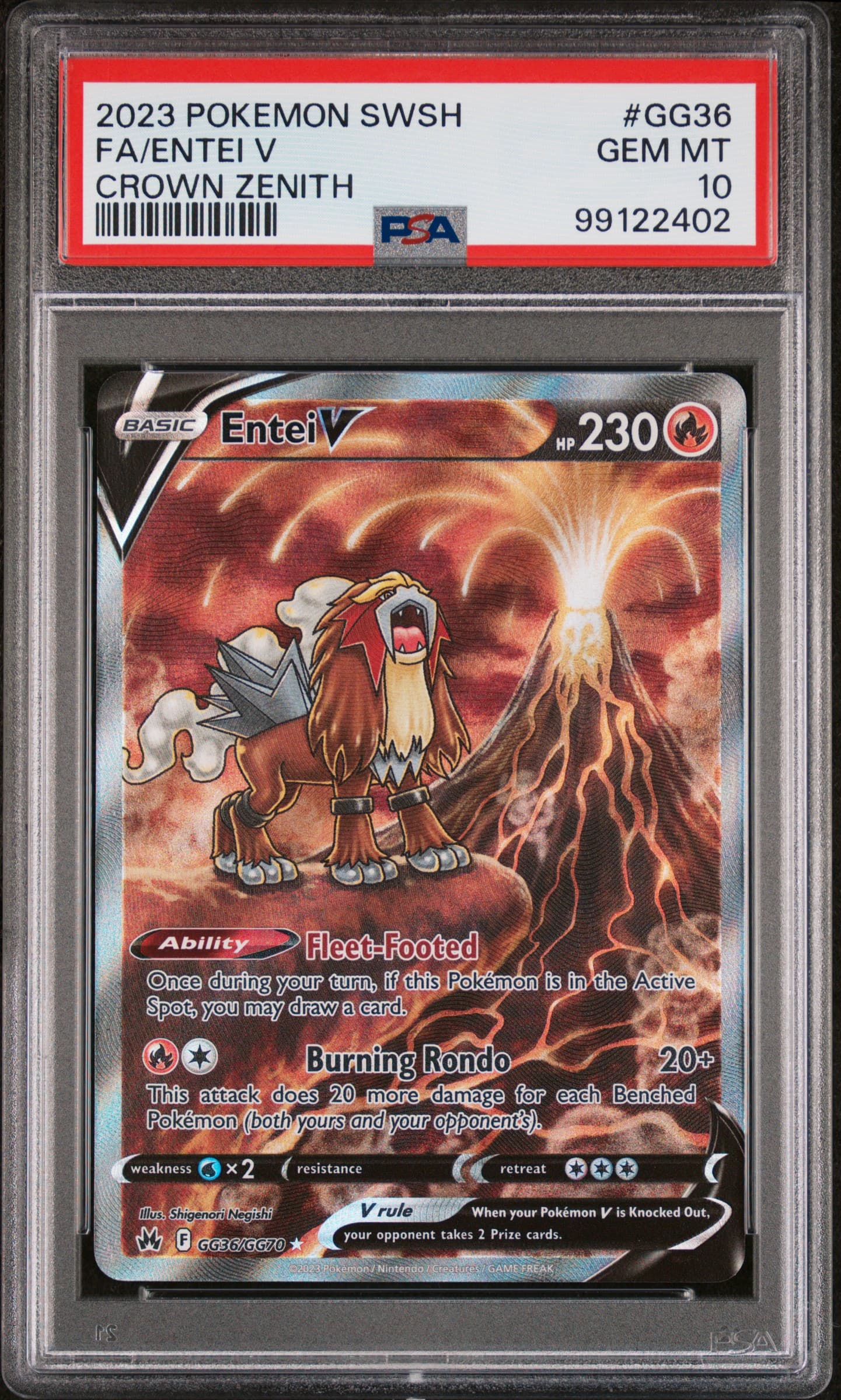 Full Art/Entei V