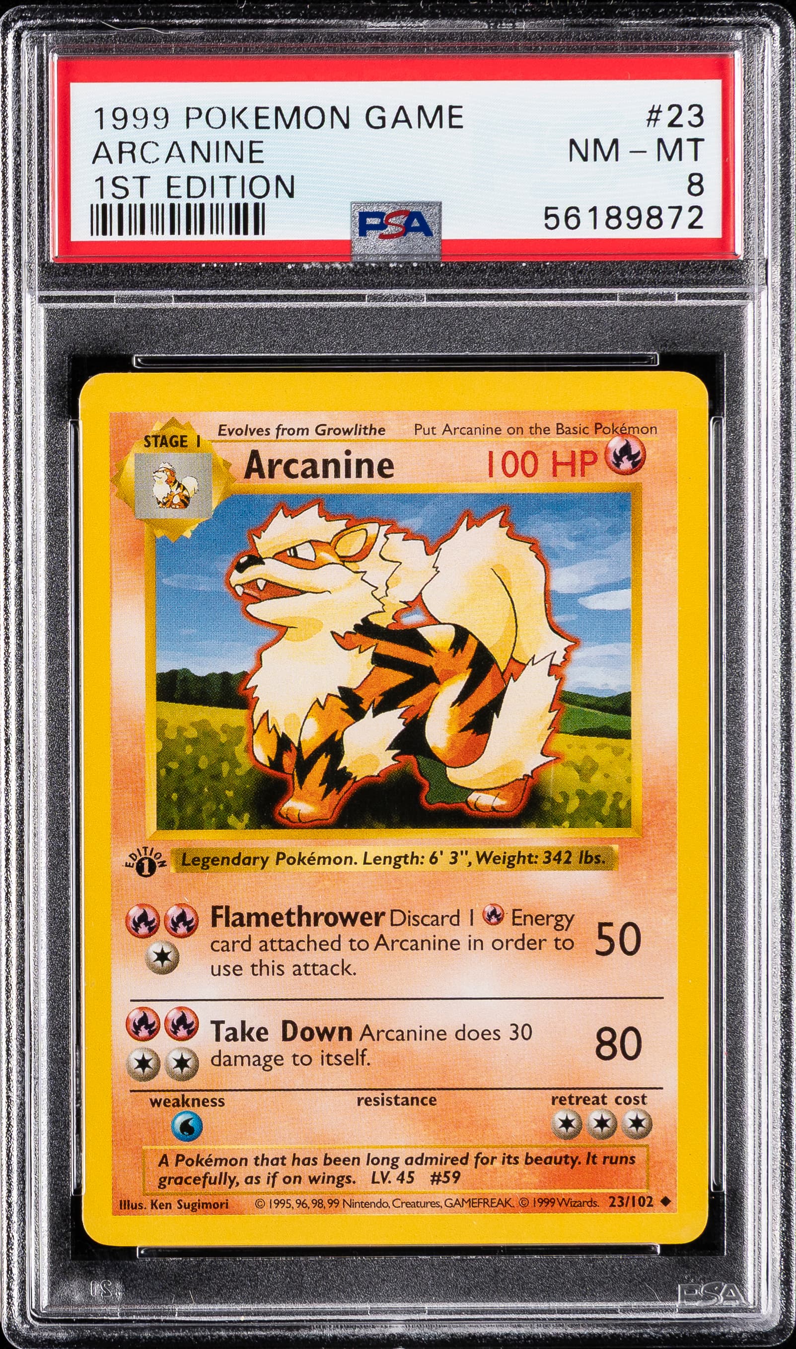 Arcanine 1st Edition