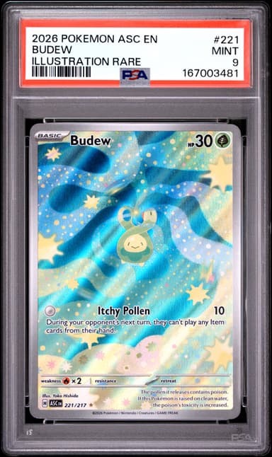 Budew