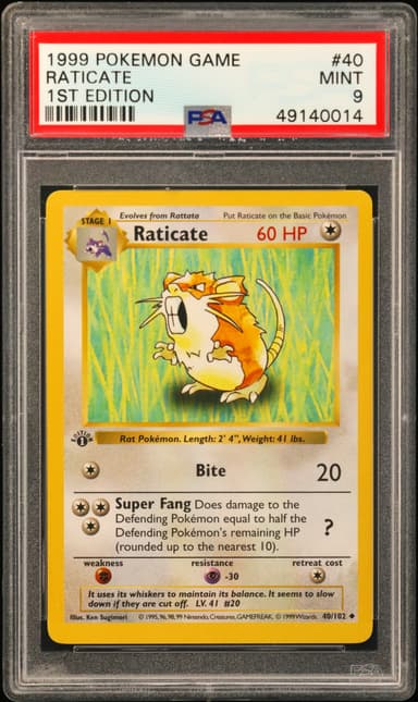 Raticate 1st Edition