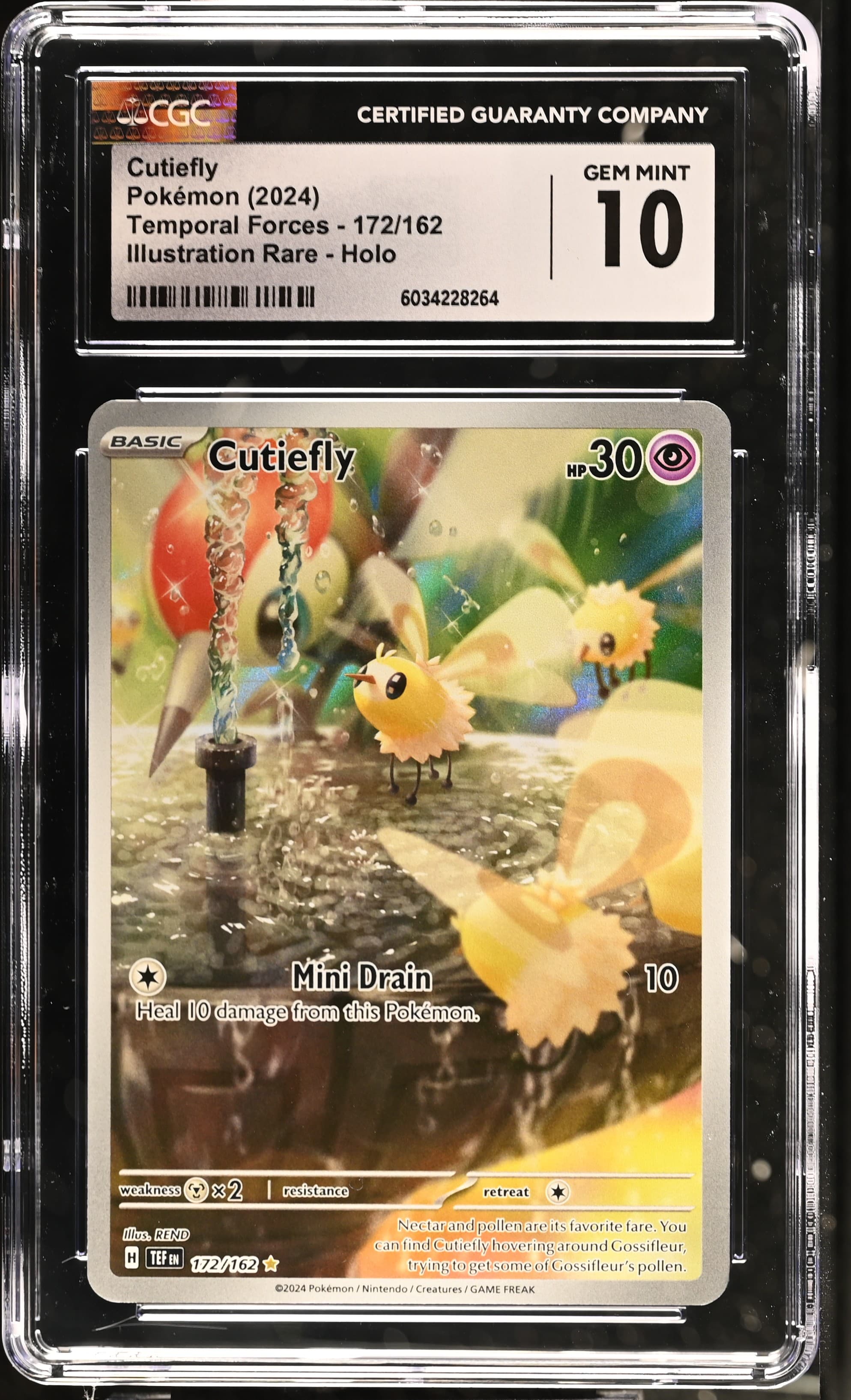 Cutiefly