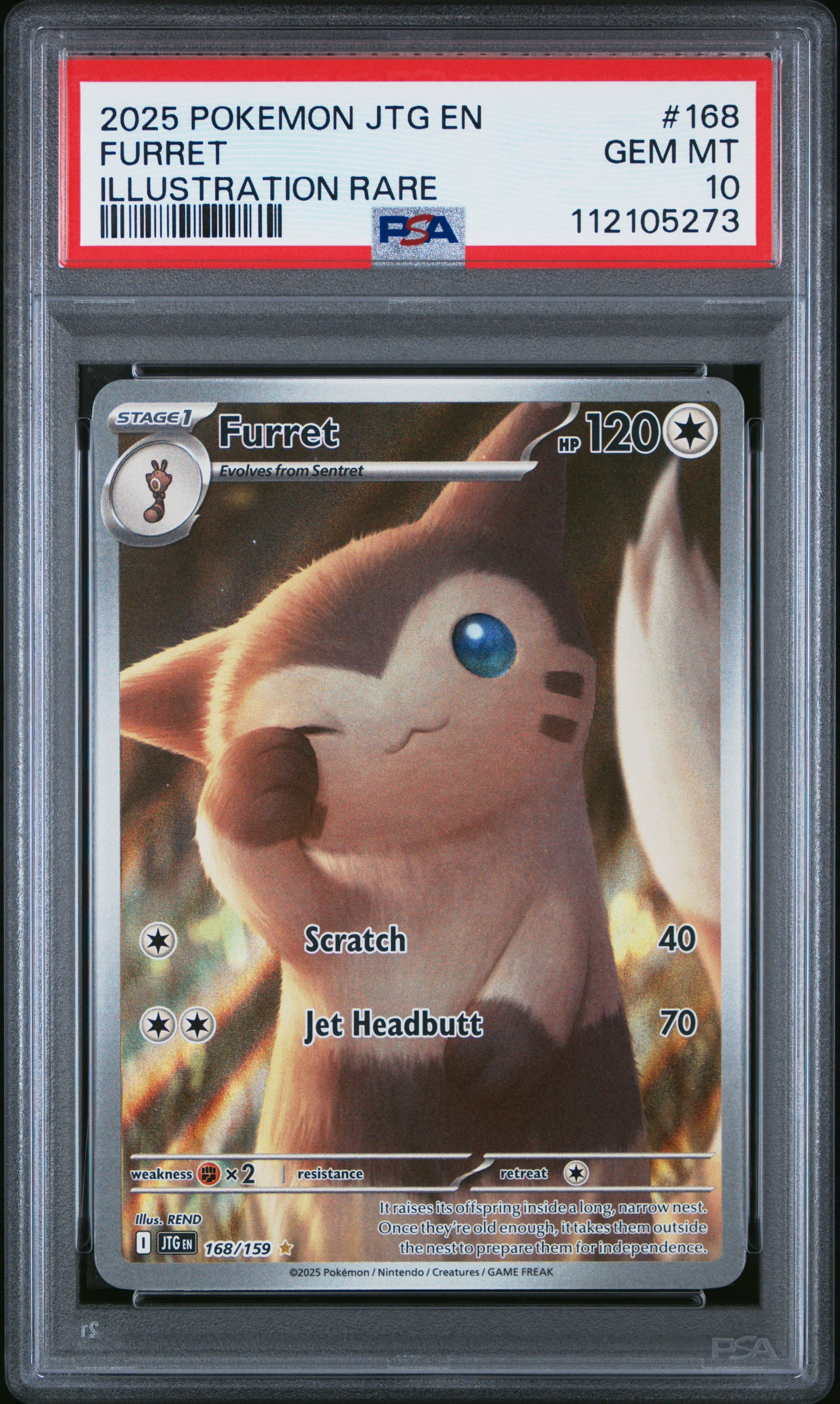 Furret