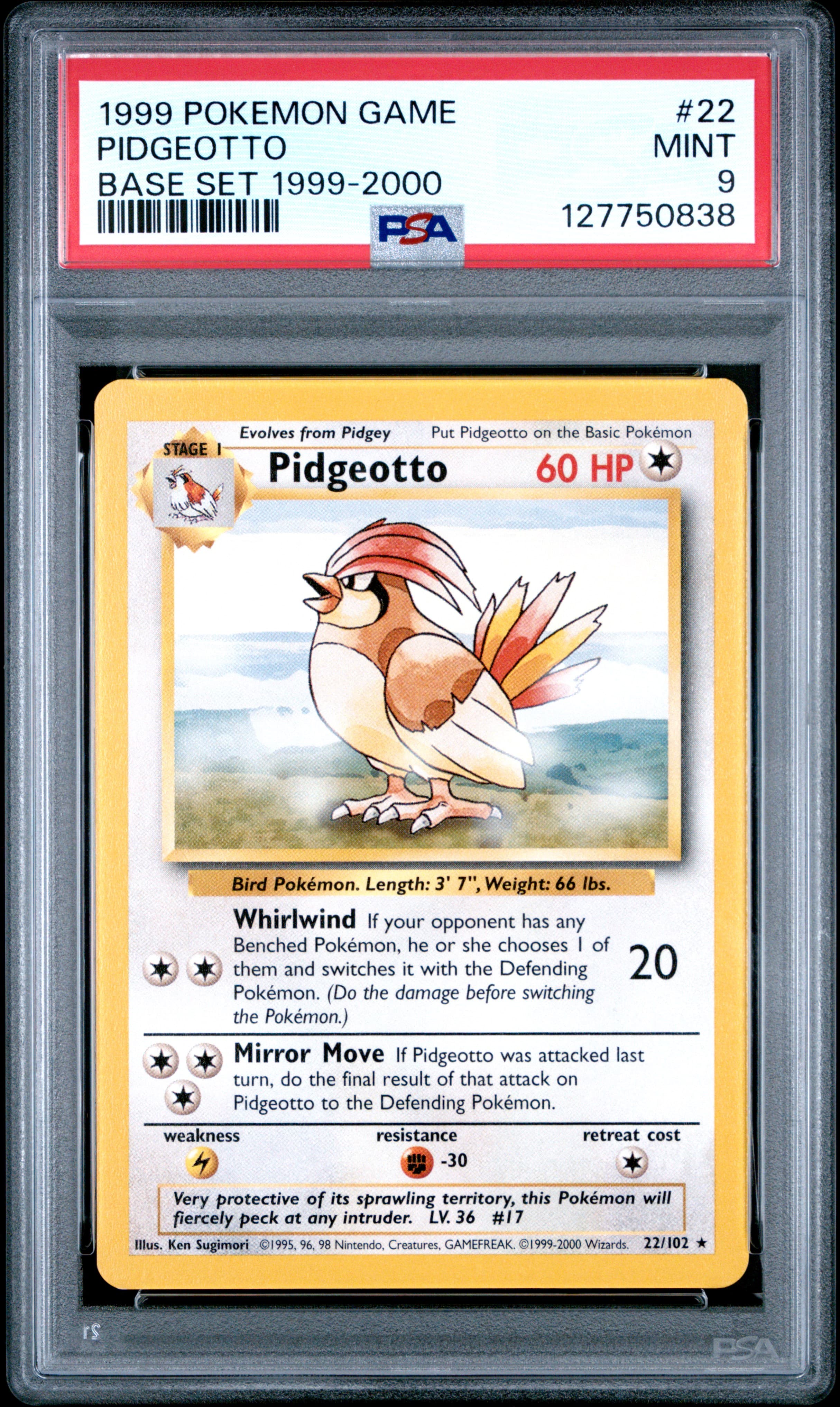 Pidgeotto