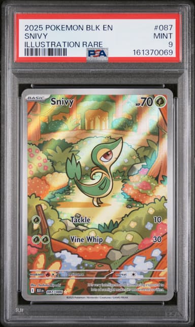 Snivy