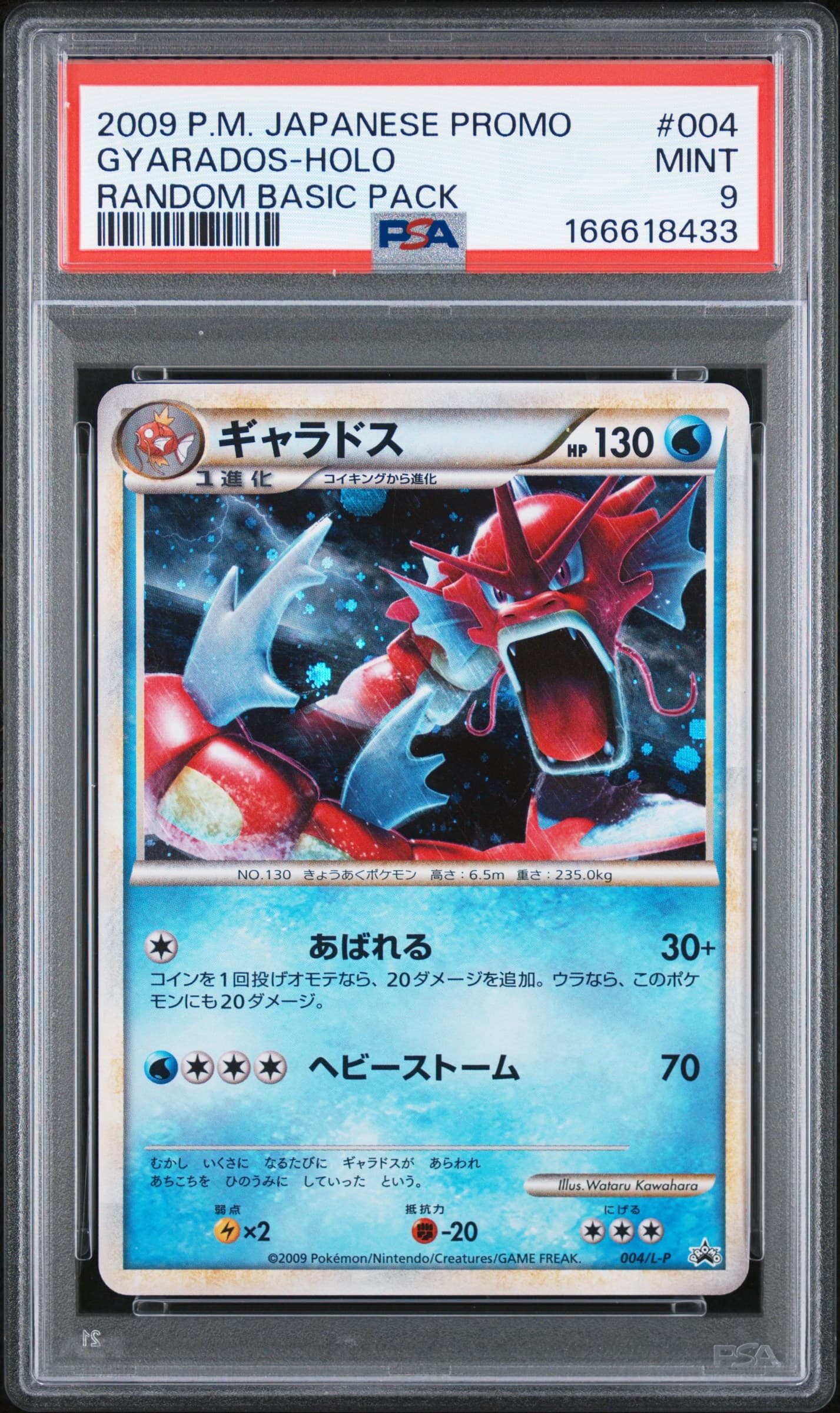 Gyarados-Holo