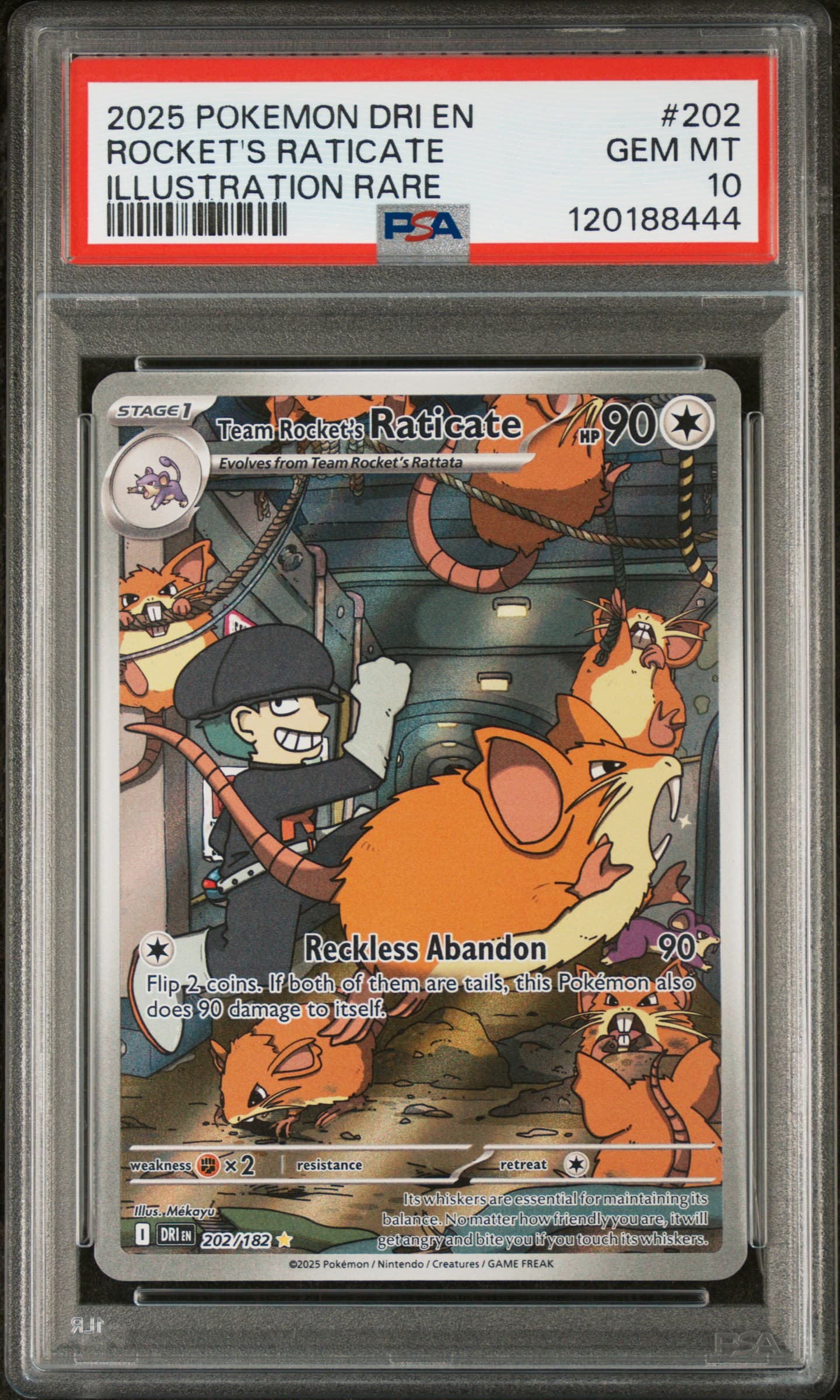 Team Rocket's Raticate