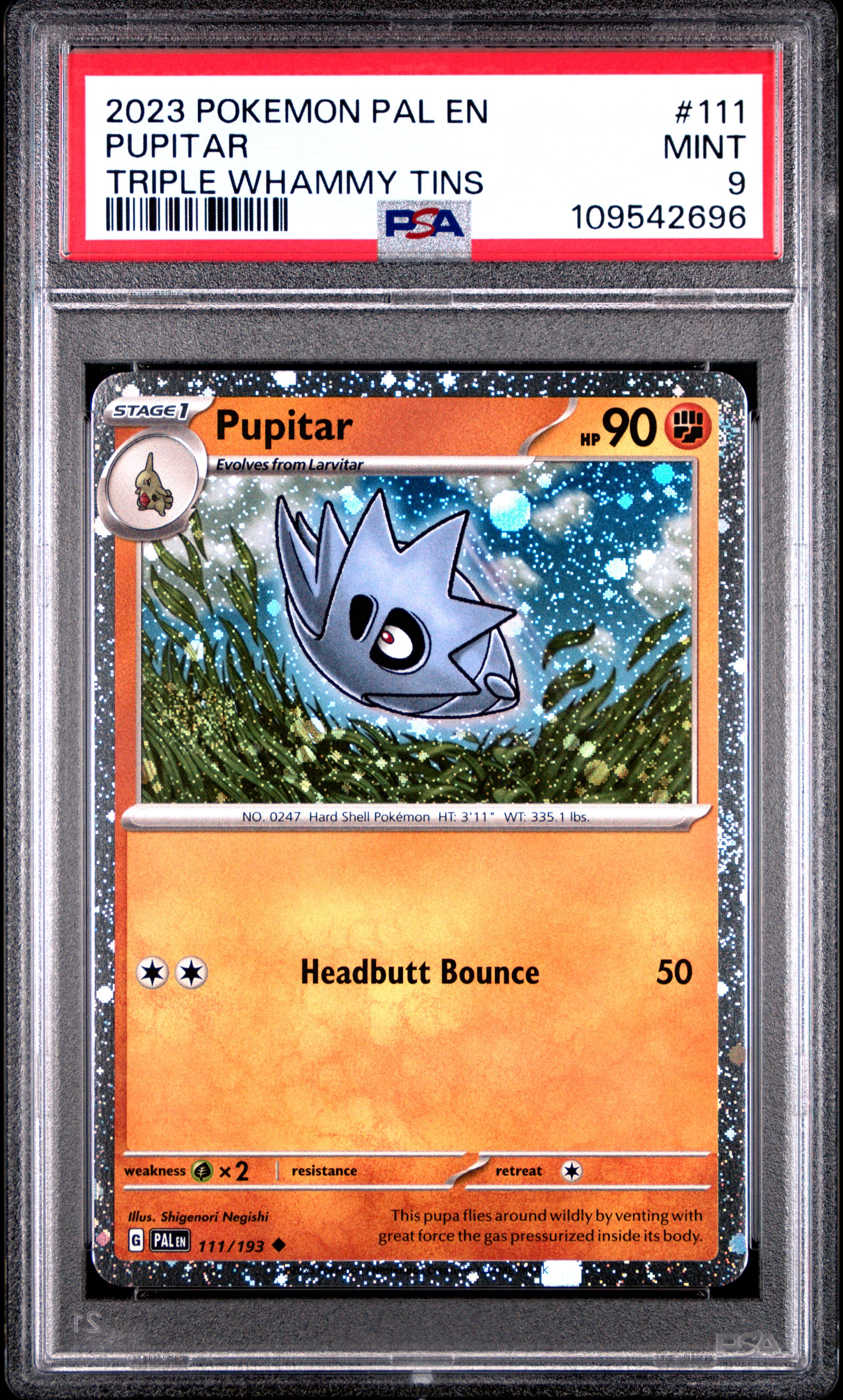 Pupitar