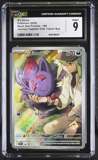 N's Zorua