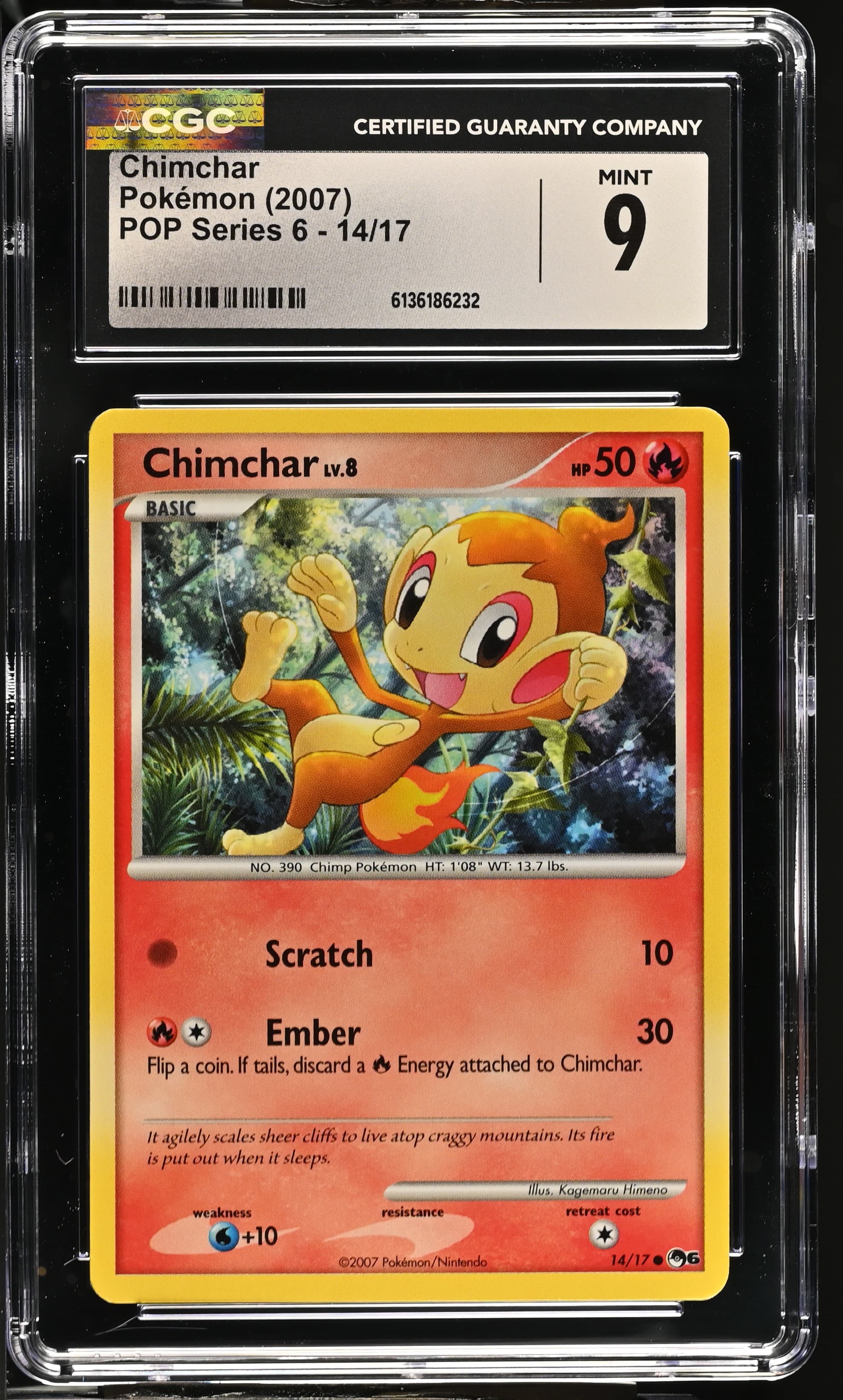 Chimchar