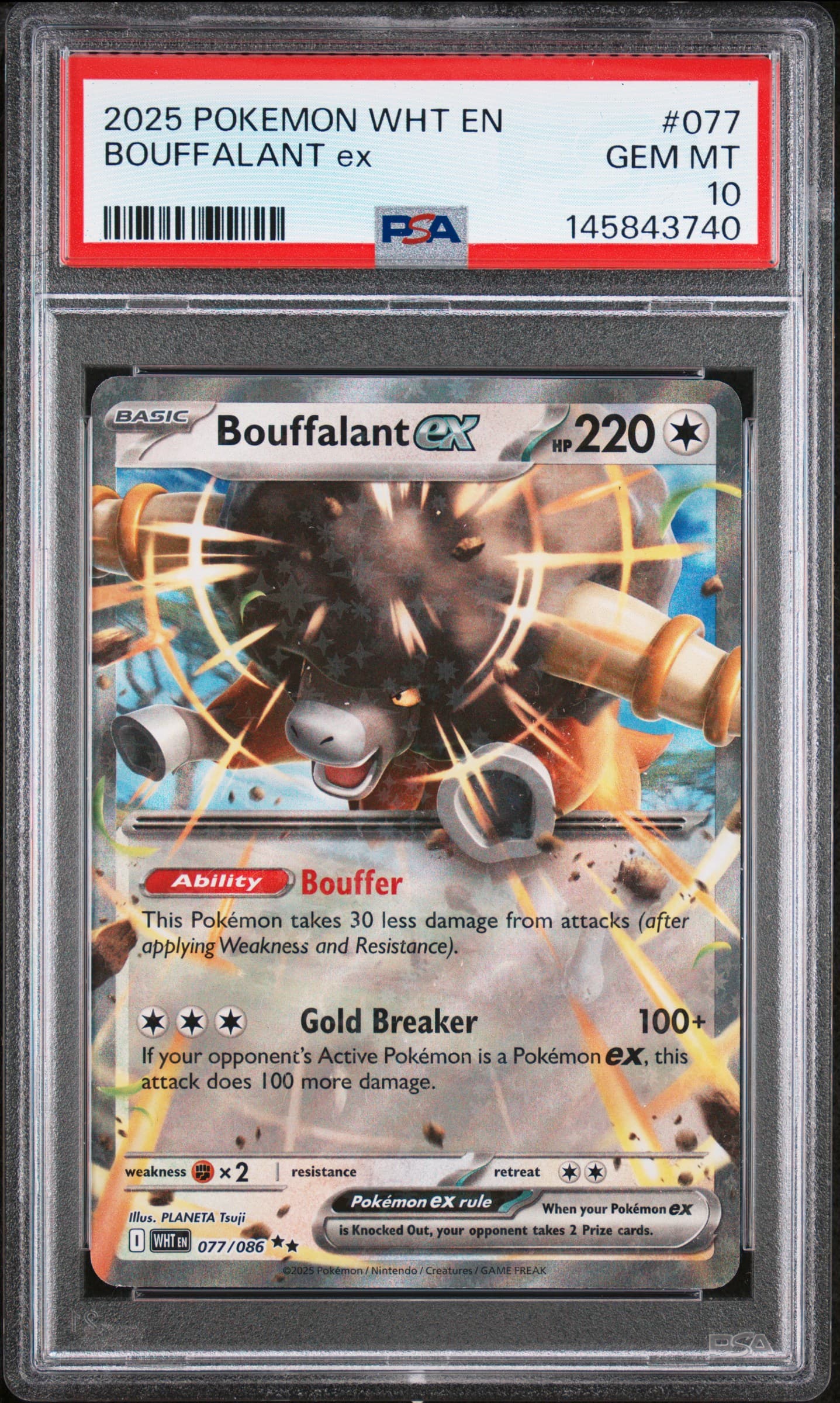 Bouffalant EX