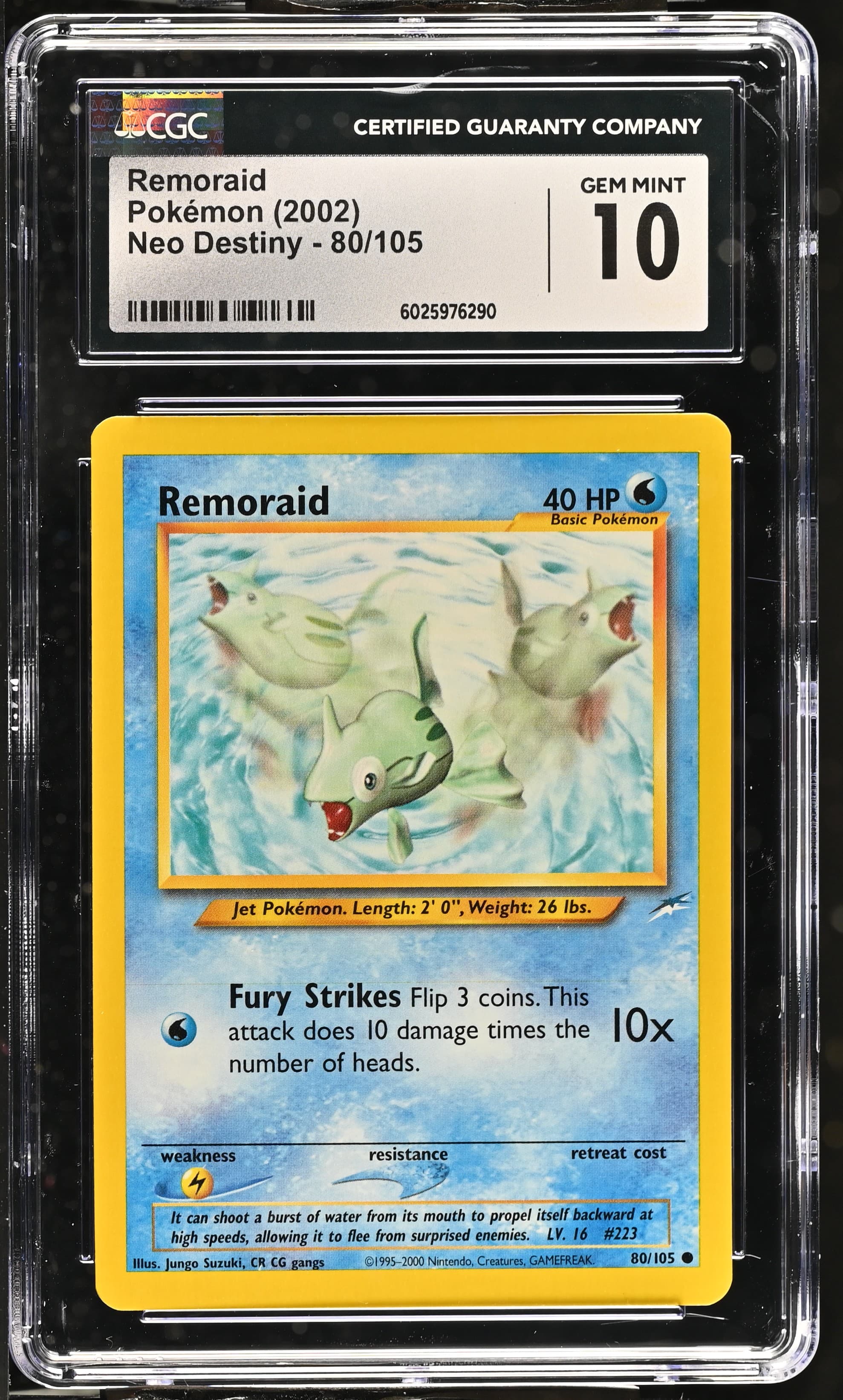 Remoraid