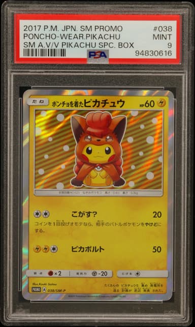 Poncho-Wearing Pikachu