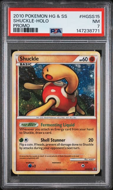 Shuckle-Holo