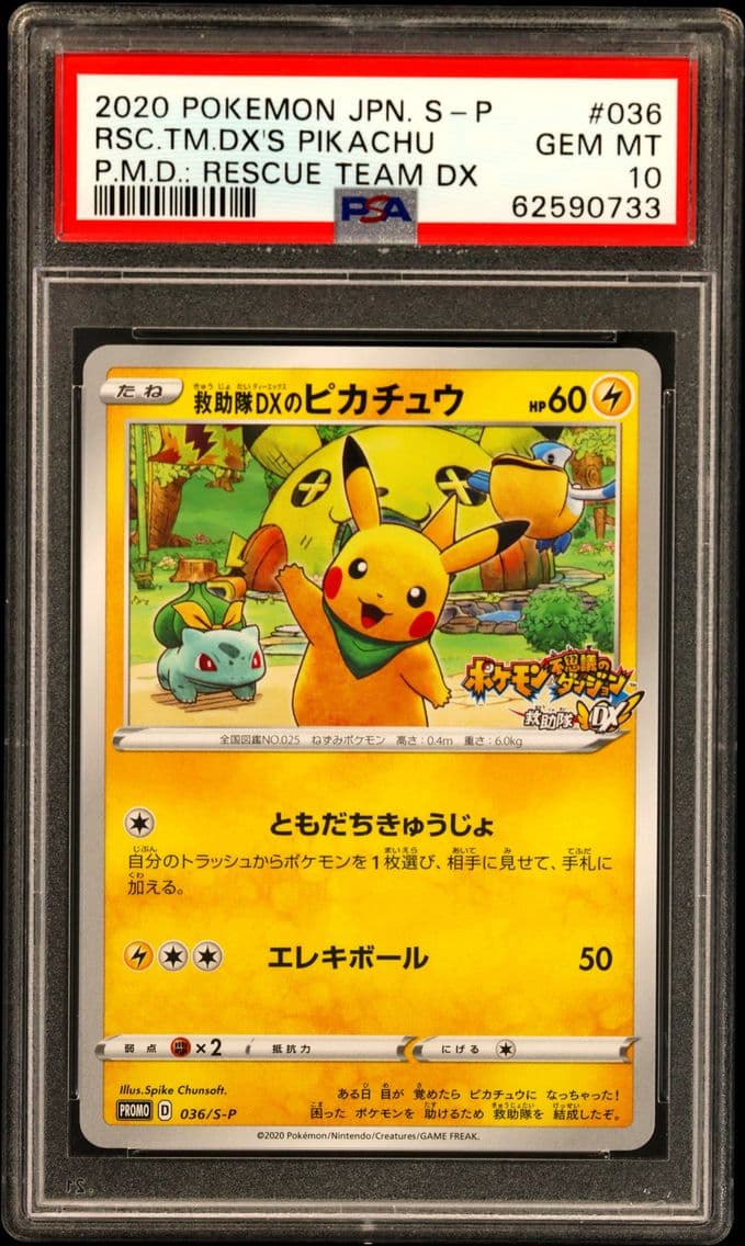 2020 #036 Rescue Team DX's Pikac