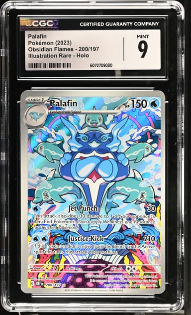 Palafin