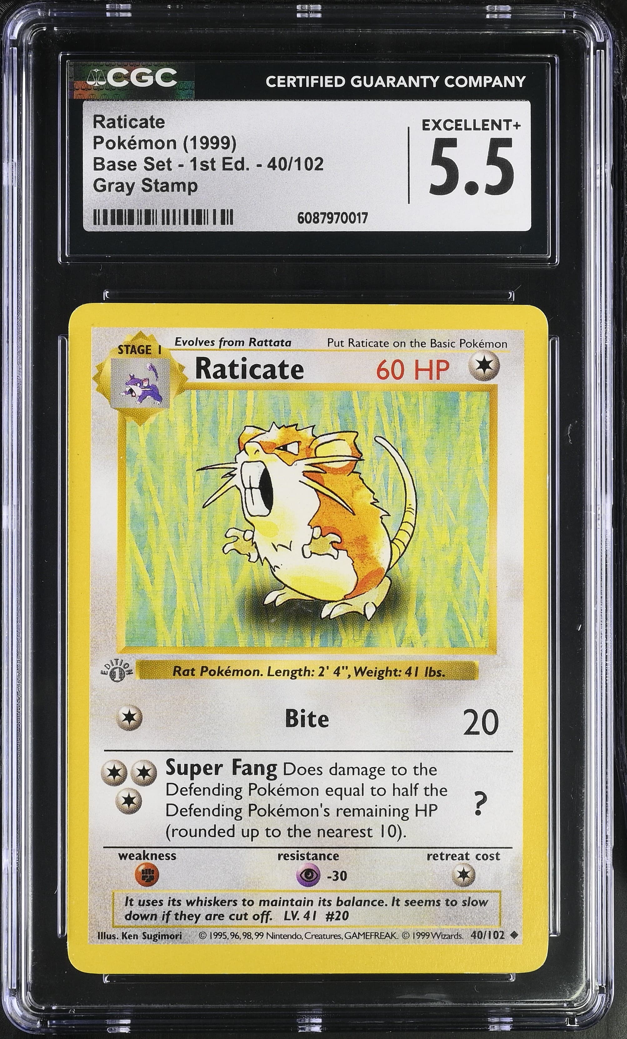 Raticate