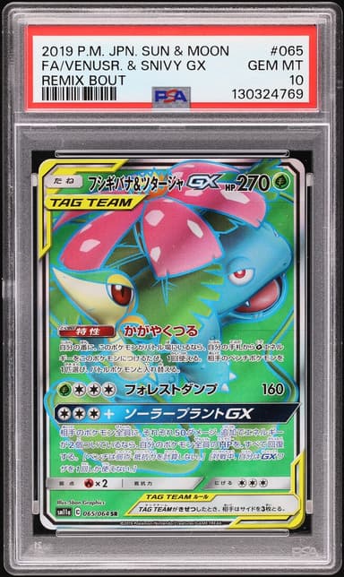 Venusaur & Snivy GX